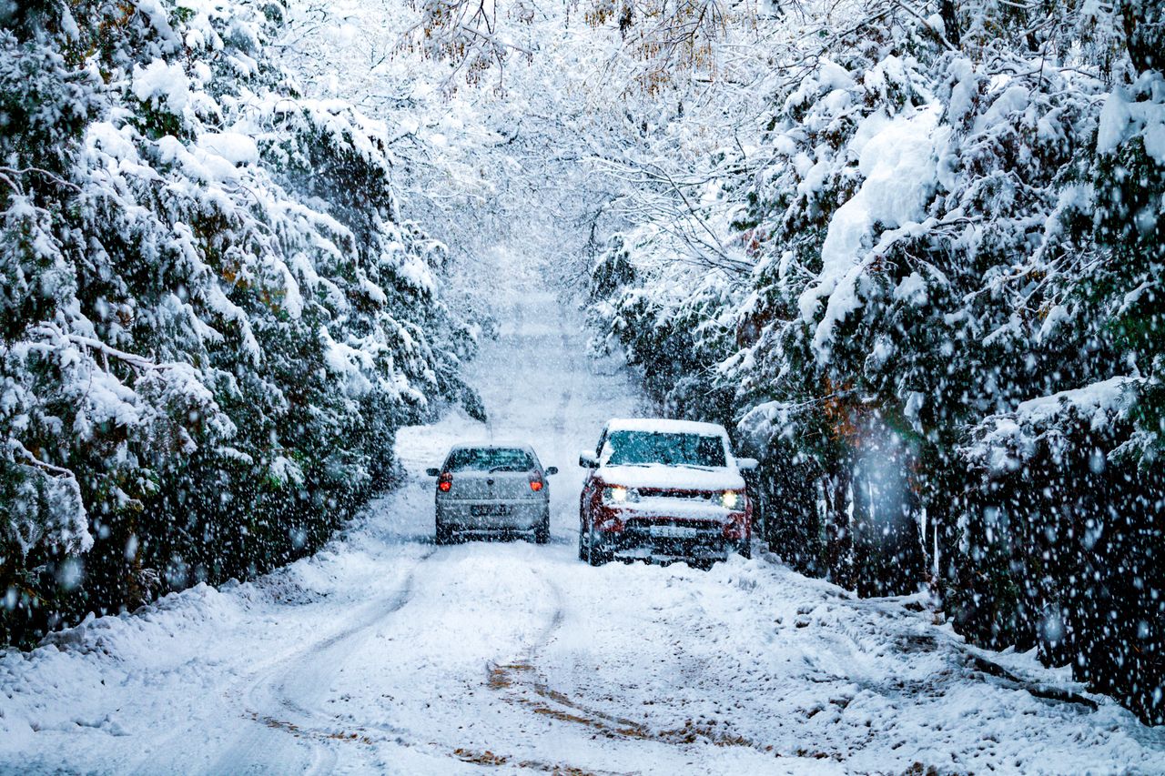 Is Window Tinting Worth It for Winter Driving in Alberta?